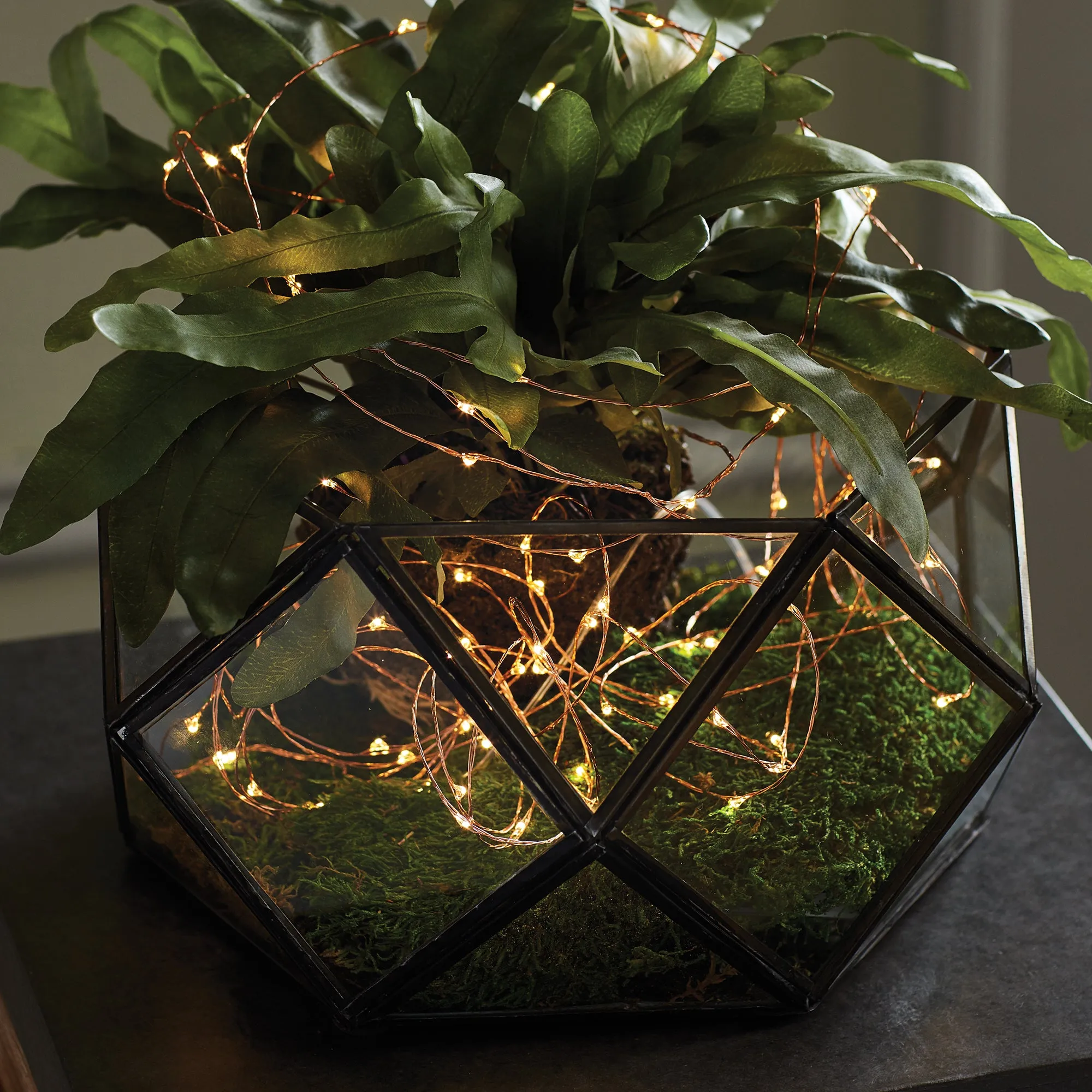 NAPA Home & Garden, NAPA NIGHT SKY LED WIRE STRING LIGHTS, 25',CP203CP