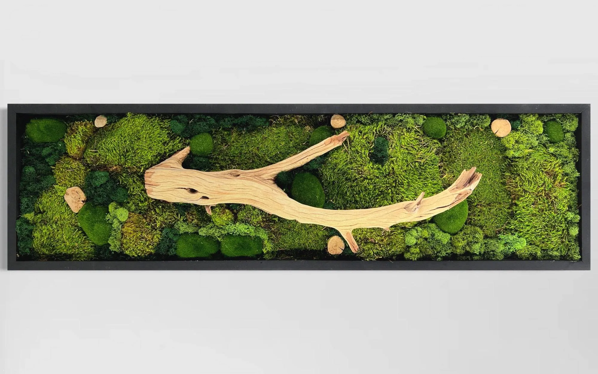 Natural Earthy Driftwood and Moss Art Piece