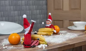 Naughty Posable Elves on the Shelf