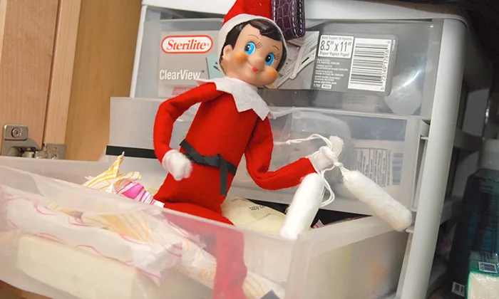 Naughty Posable Elves on the Shelf