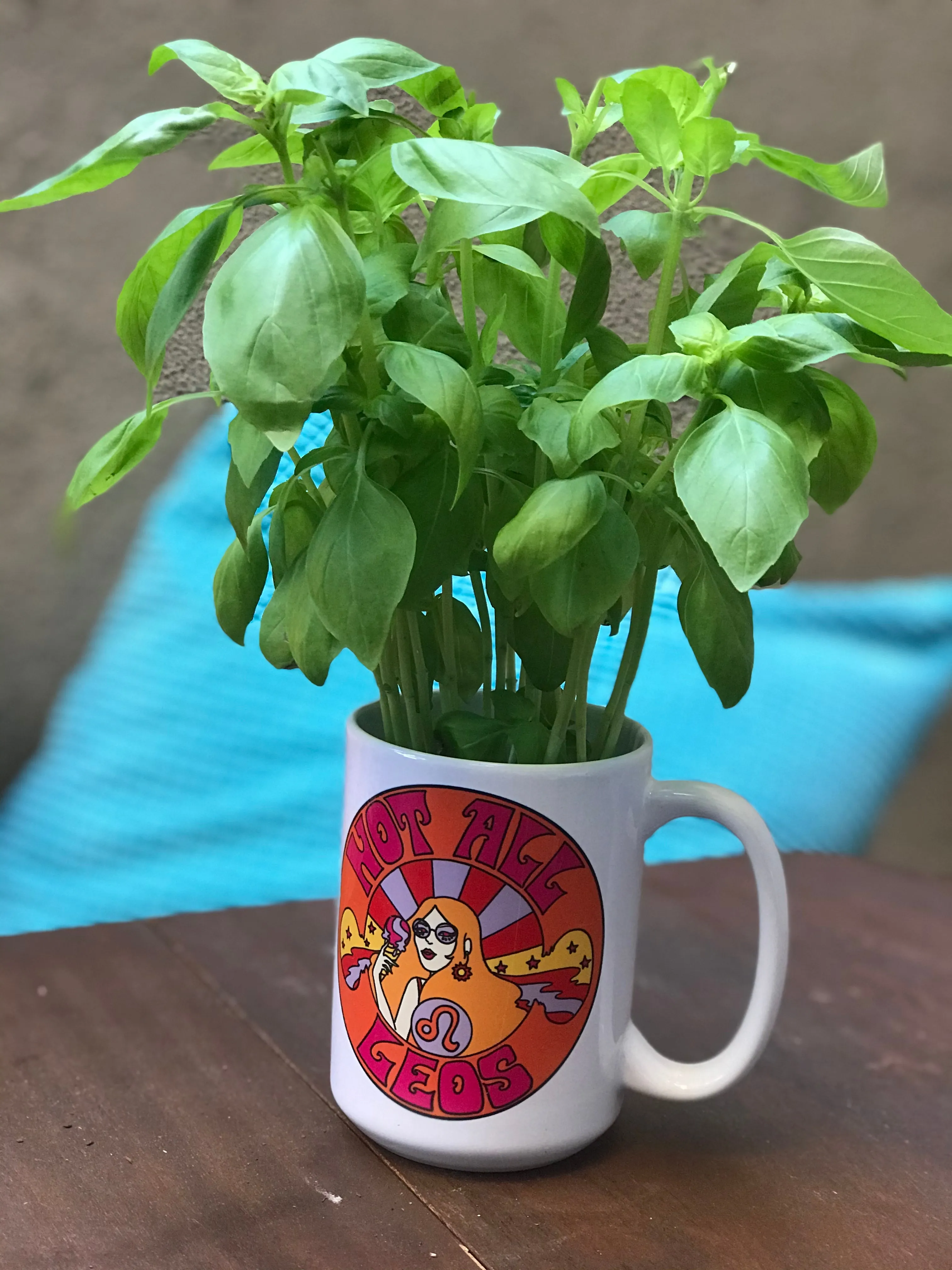 Not All Leos Mug