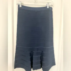 NWOT Sandro Paris Womens Viscose Pleated Blue Stretch Skirt Size 3/Medium