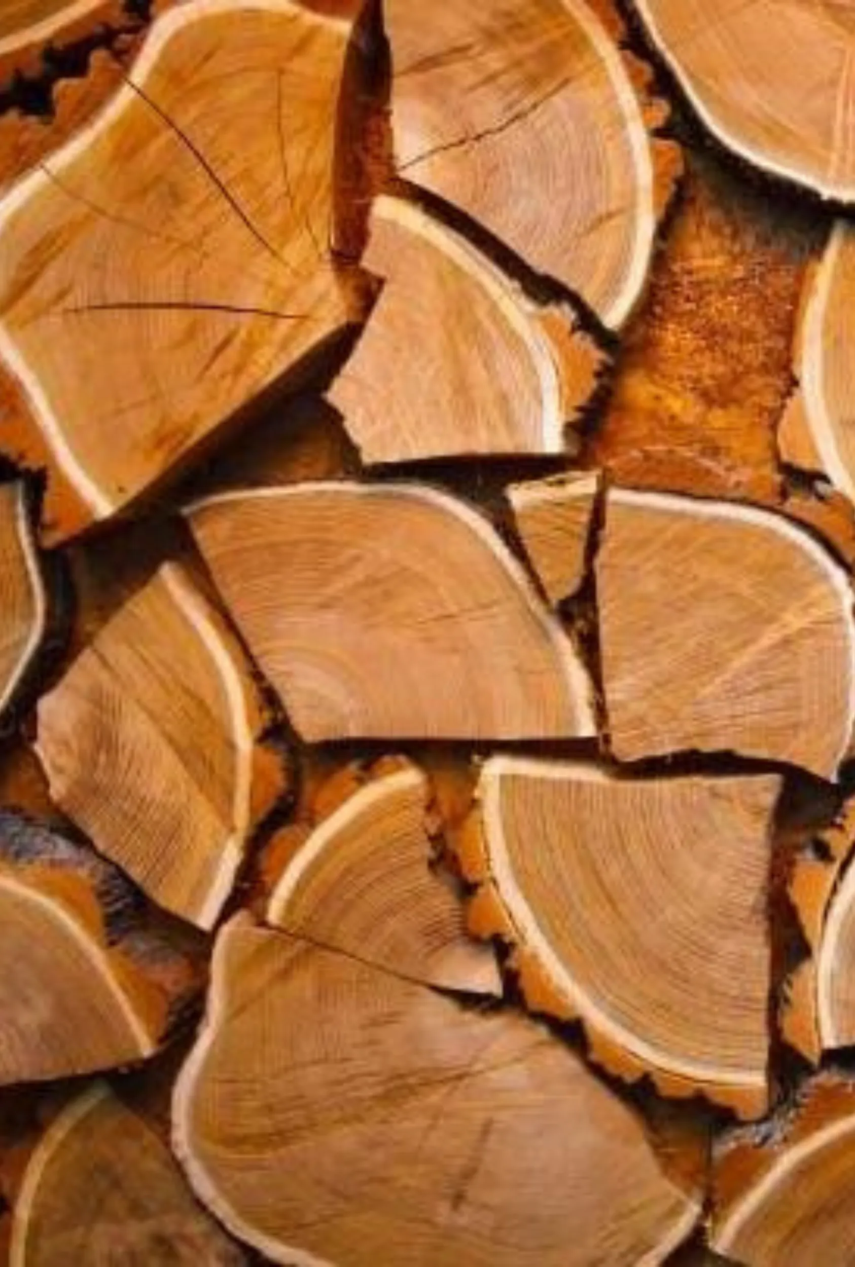 Palo Santo   Sandalwood: Moss   Saffron   Palo Santo