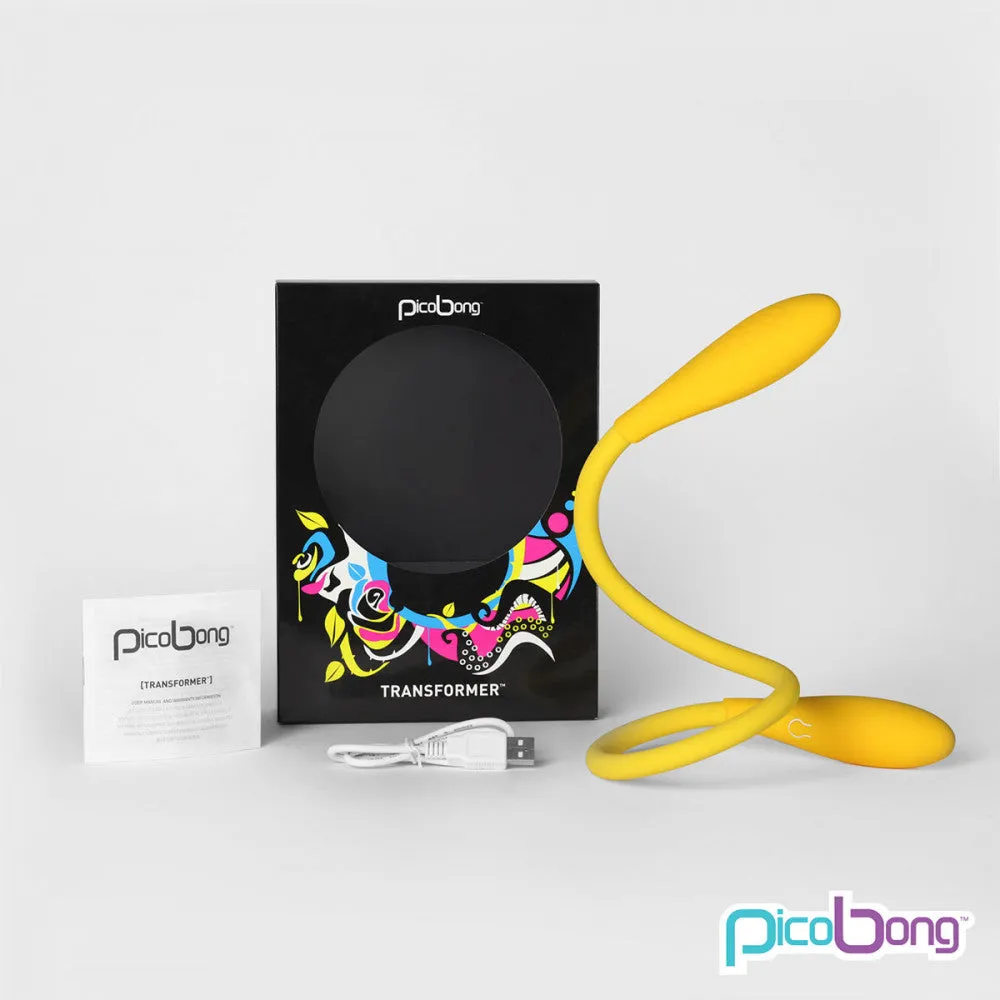 PicoBong Transformer