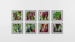 Professional Glossy Paper Surface