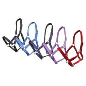 Rancher Nylon Stable Halter Assorted Colours (RAN2175)