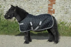 Rhinegold Foal Michigan Stable Quilt