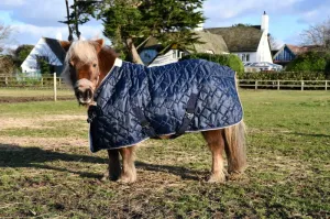 Rhinegold Foal Texas Stable Quilt