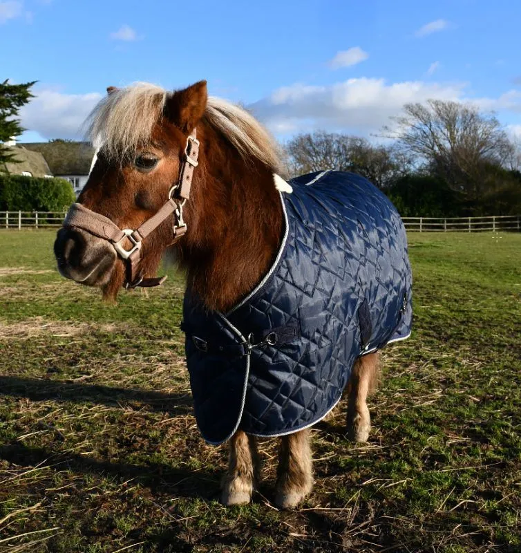 Rhinegold Foal Texas Stable Quilt
