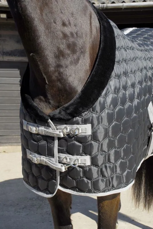 Rhinegold Michigan Stable Quilt