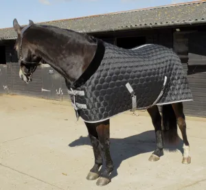 Rhinegold Michigan Stable Quilt