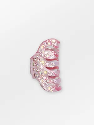 Robinia Hairclaw