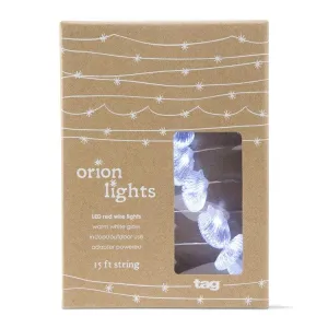 Scalloped Shell Wire Lights