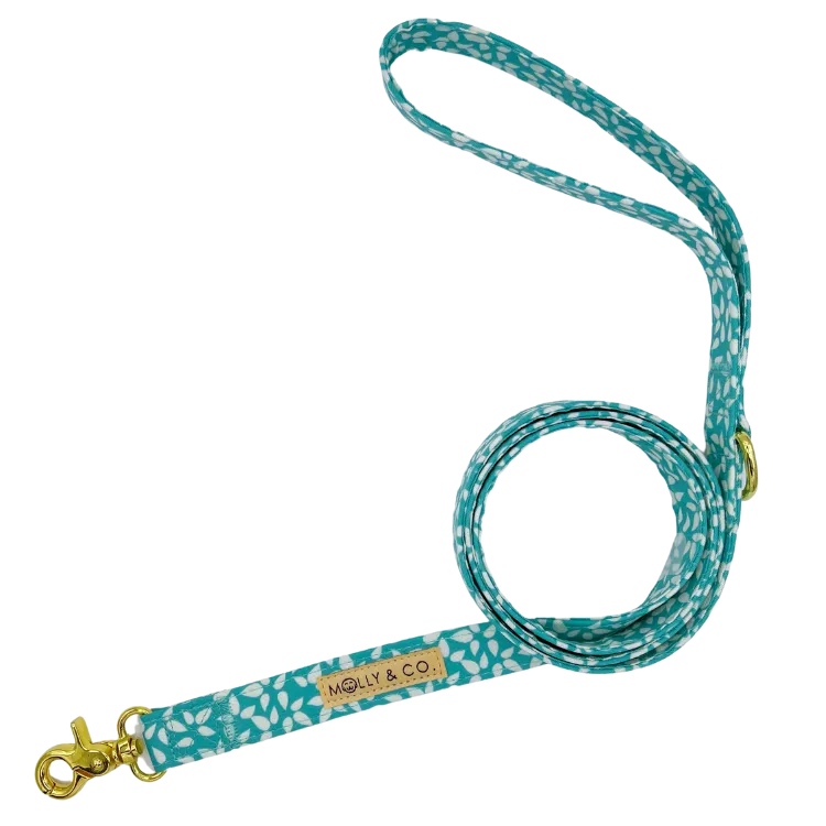 Seafoam - Dog Leash - FINAL SALE
