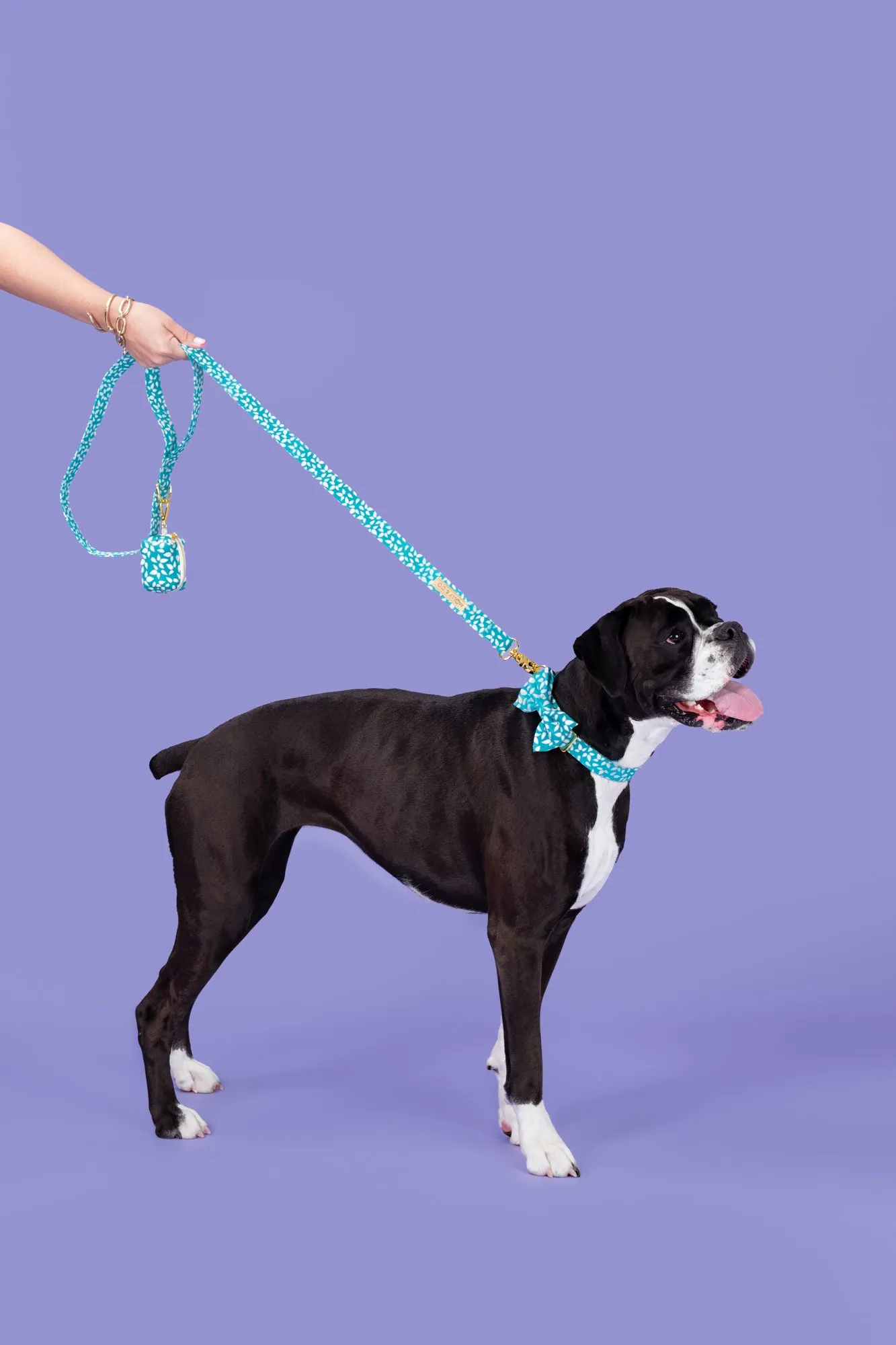 Seafoam - Dog Leash - FINAL SALE