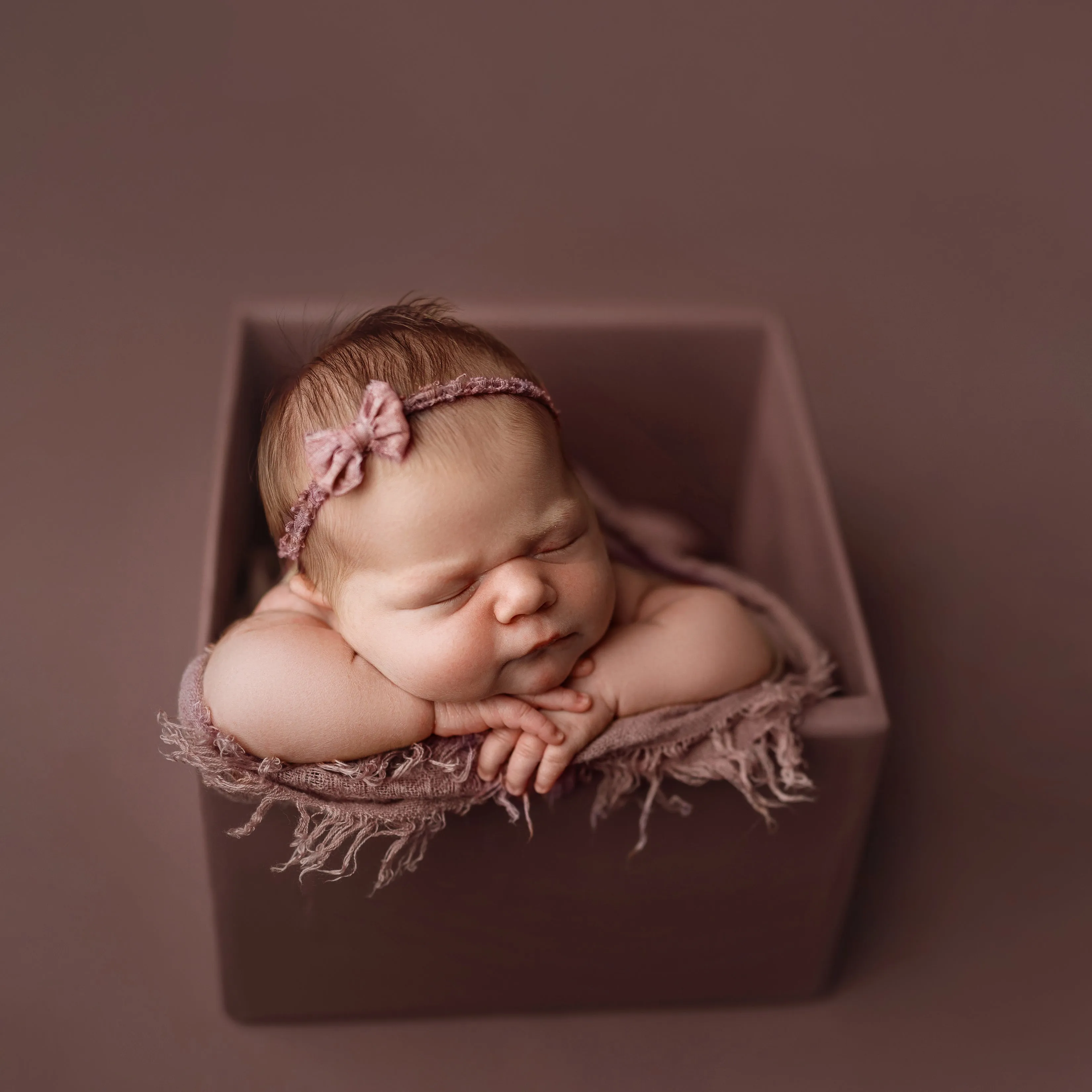 Seamless Paper | Juneberry