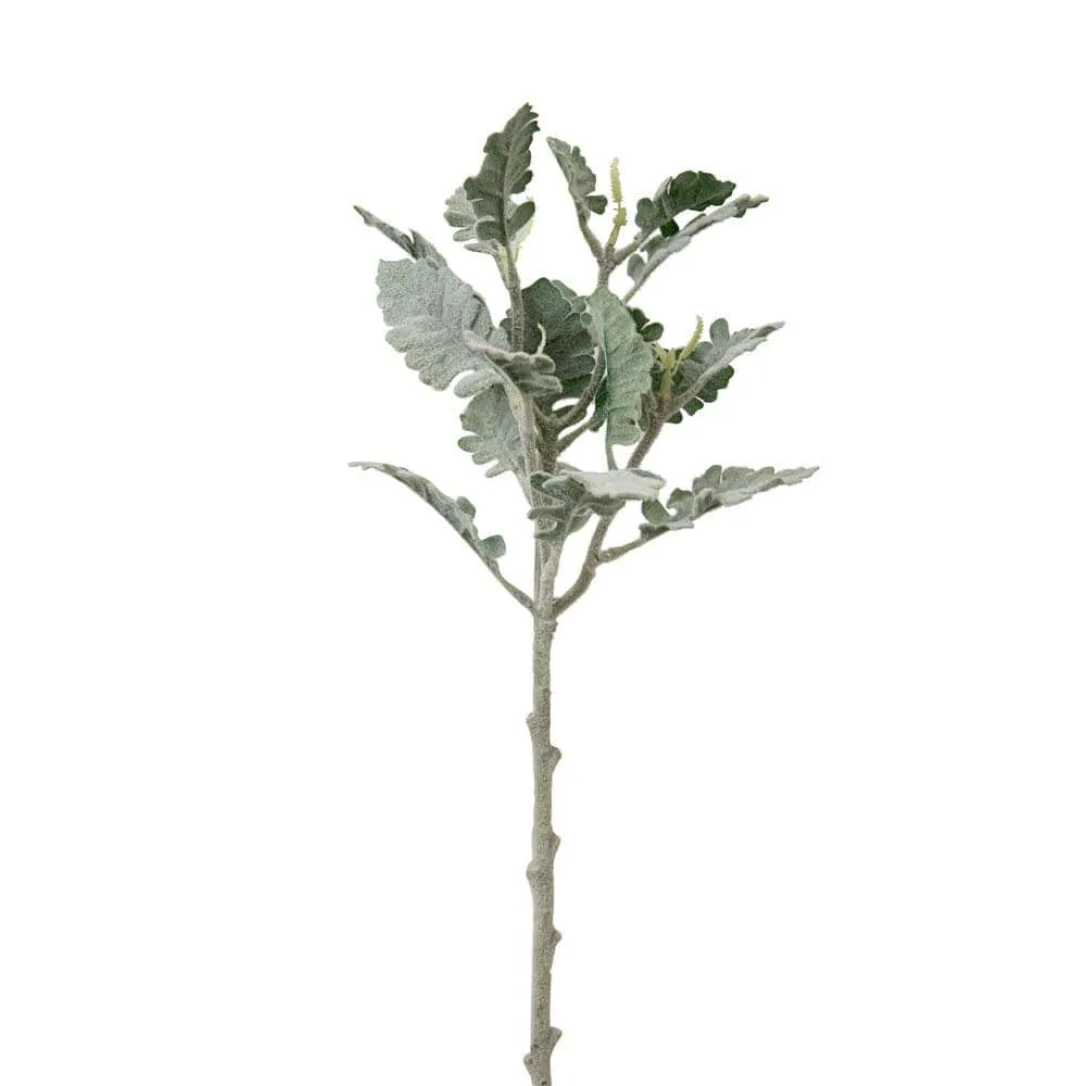 Set of 2  Dusty Miller Sprigs for Your Farmhouse Charm