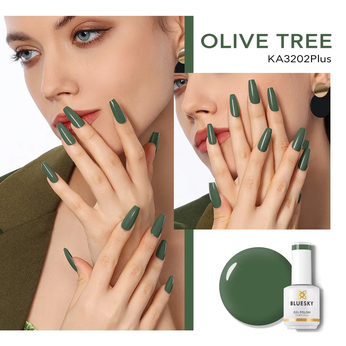 Shop | Classic PLUS | OLIVE TREE