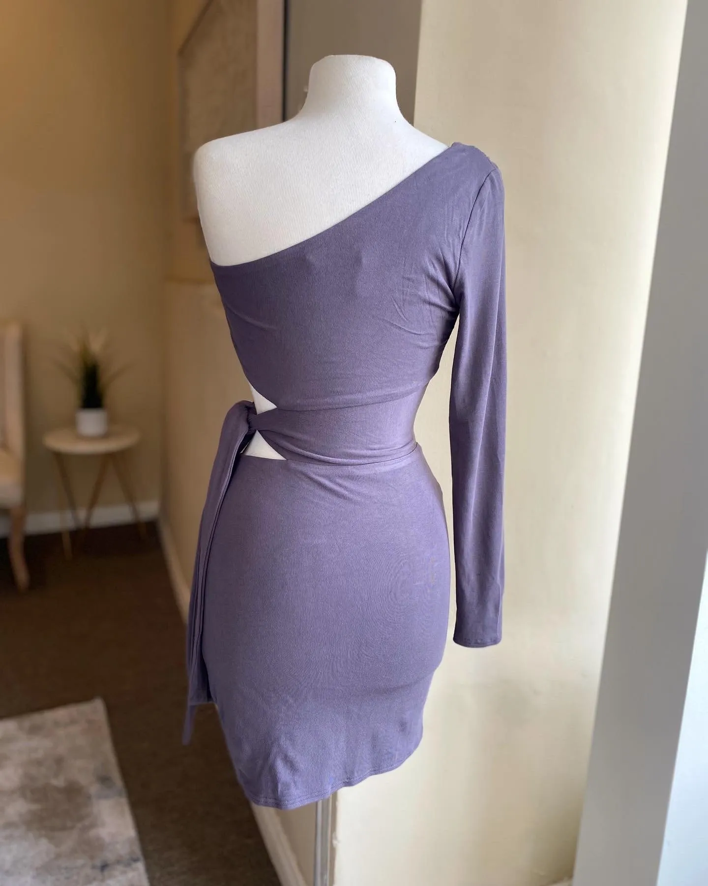 Side Tye Fitted Dress