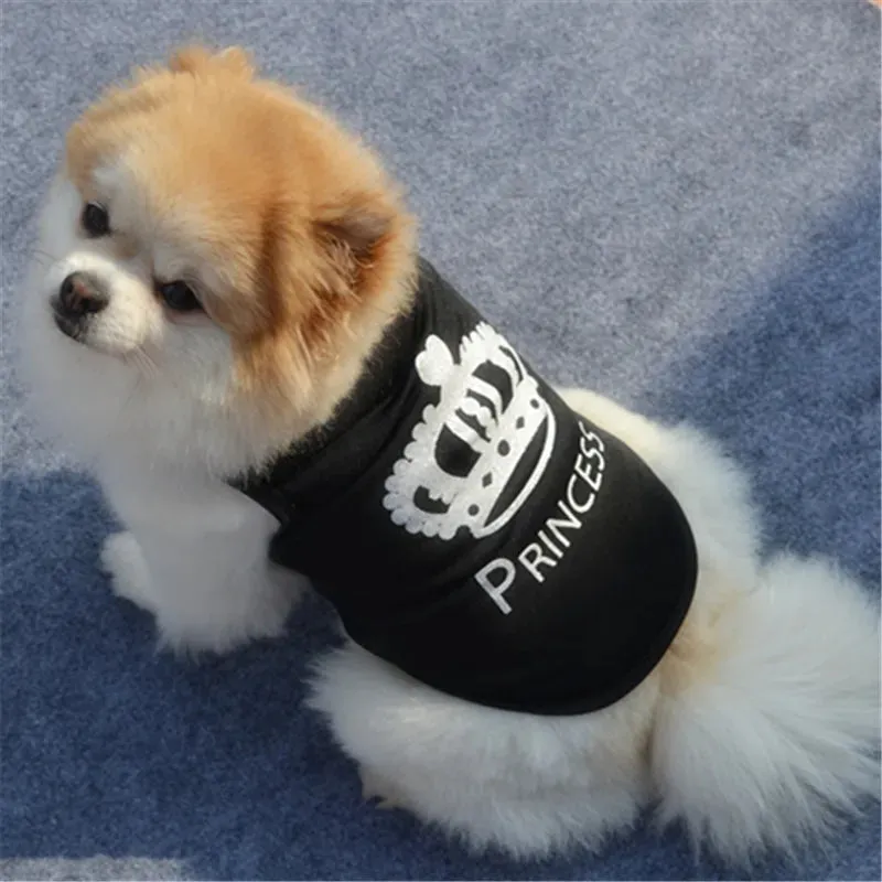 Small Dogs Cute Shirt