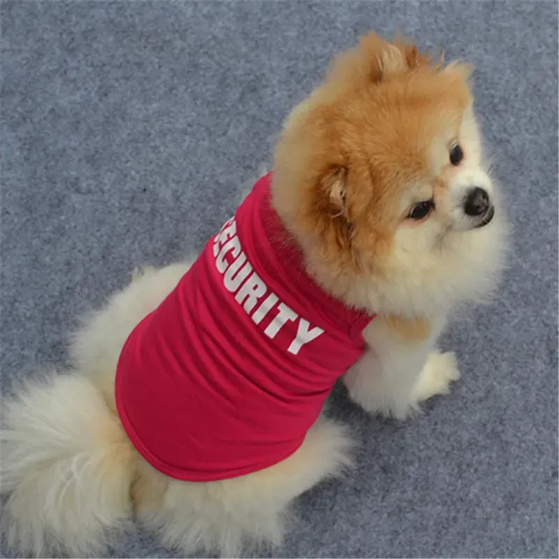Small Dogs Cute Shirt