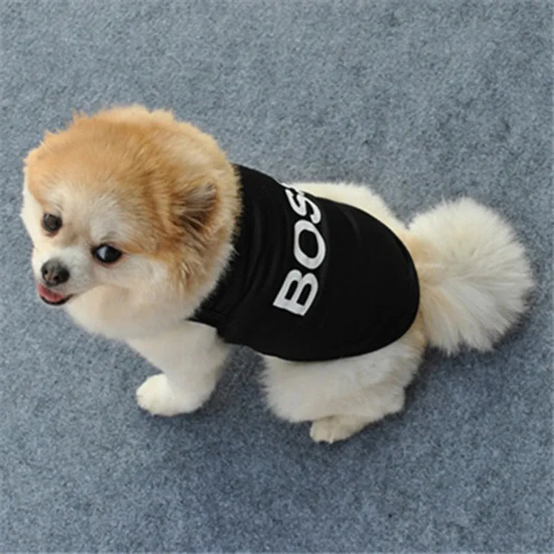 Small Dogs Cute Shirt