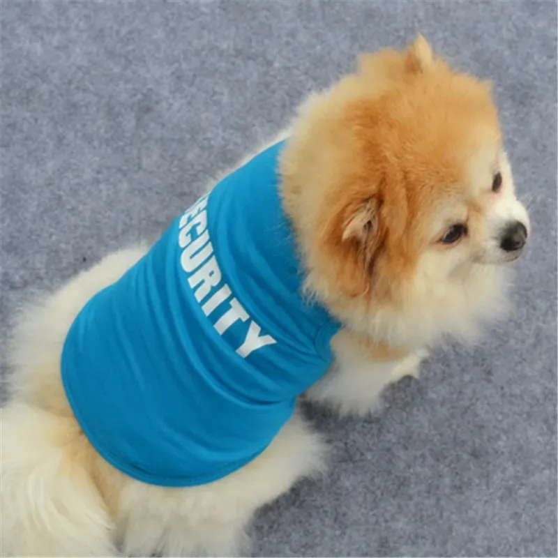 Small Dogs Cute Shirt