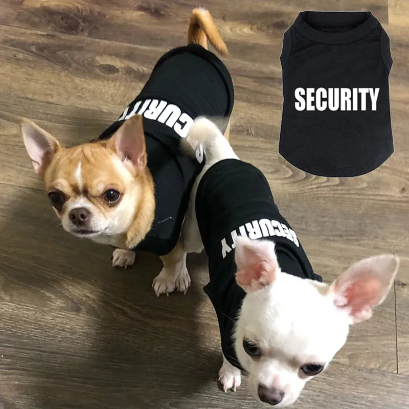 Small Dogs Cute Shirt