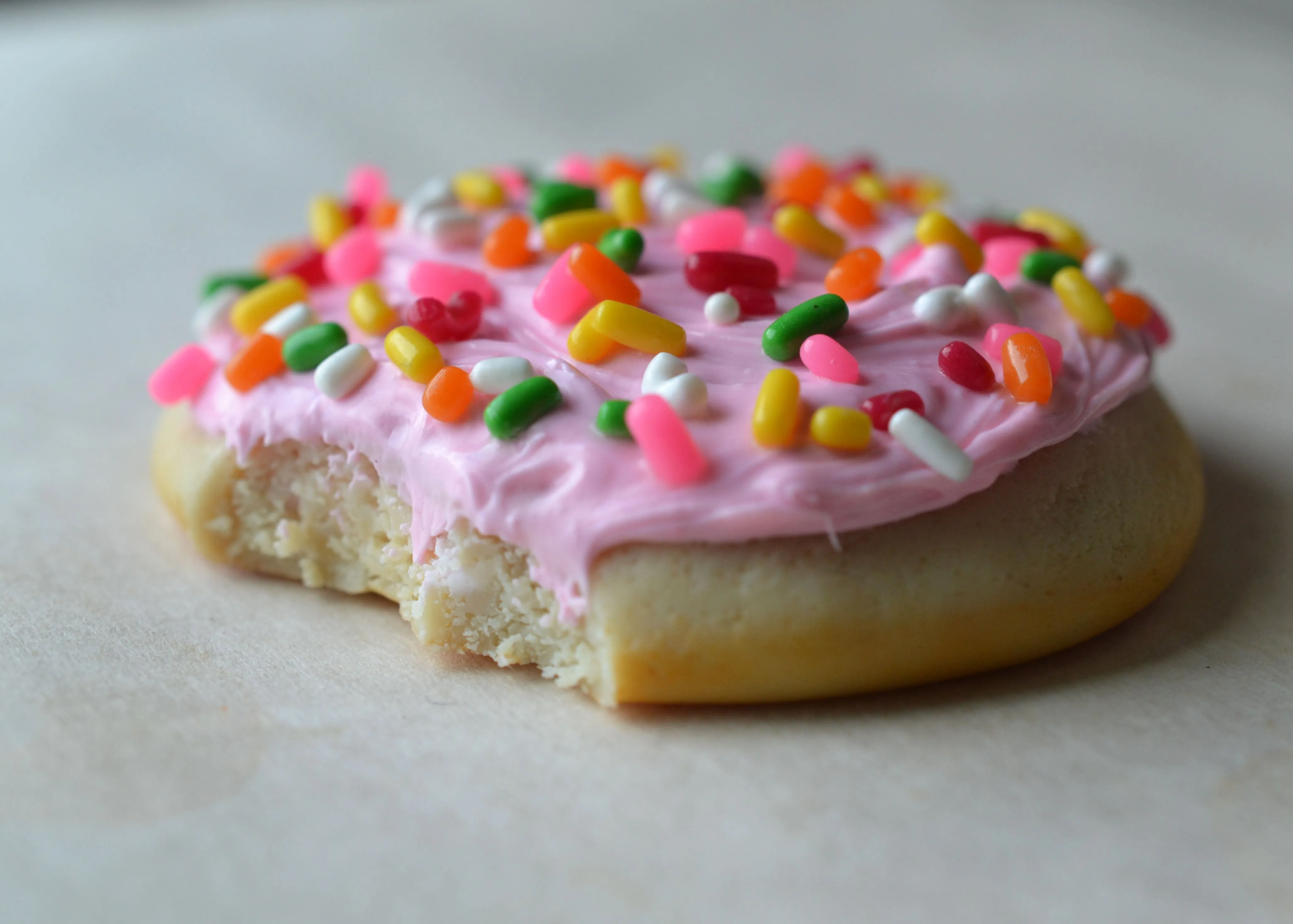 Soft Frosted Sugar Cookie Polymer Clay Miniature Food Magnet