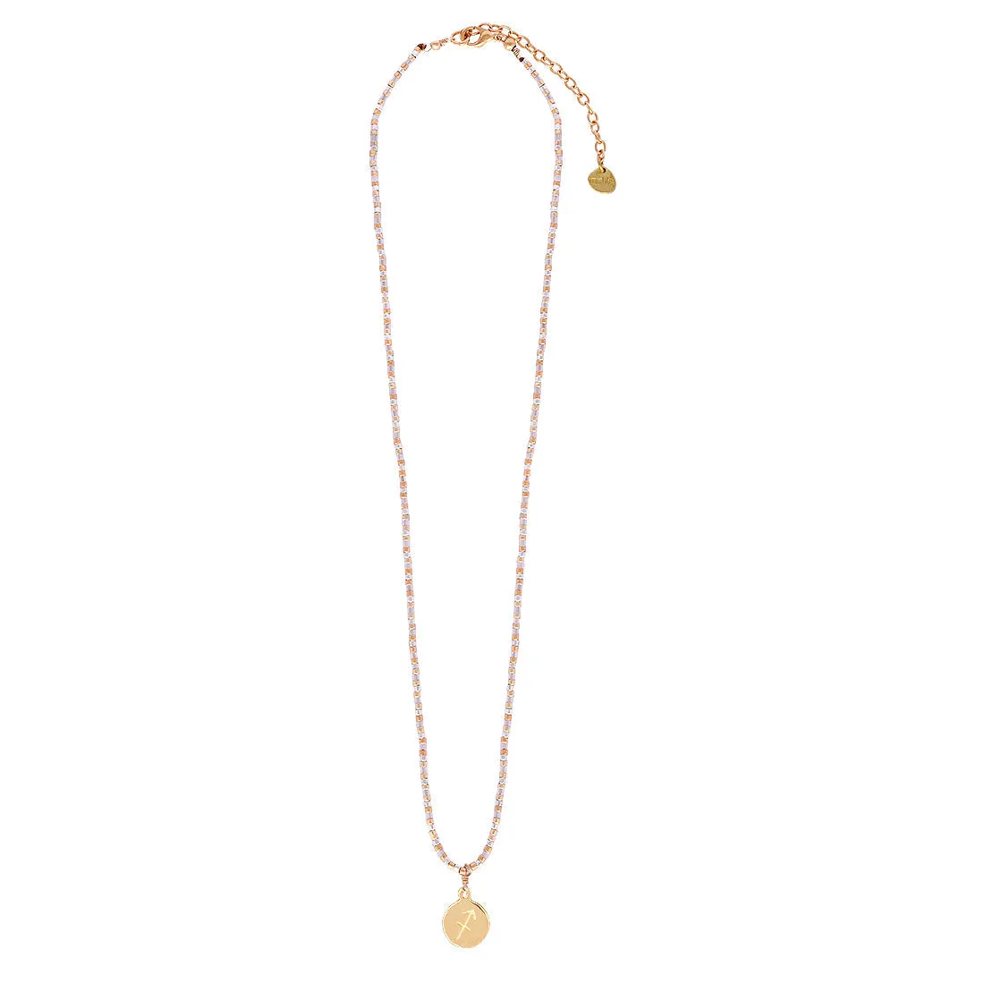 Sparkly Capricorn adjustable necklace
