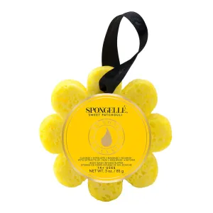 Spongelle: Wild Flower in Sweet Patchouli