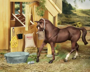 Stable Feed Set