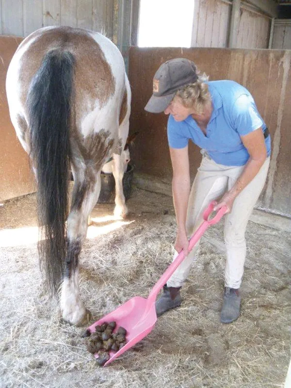 Stable Shovel