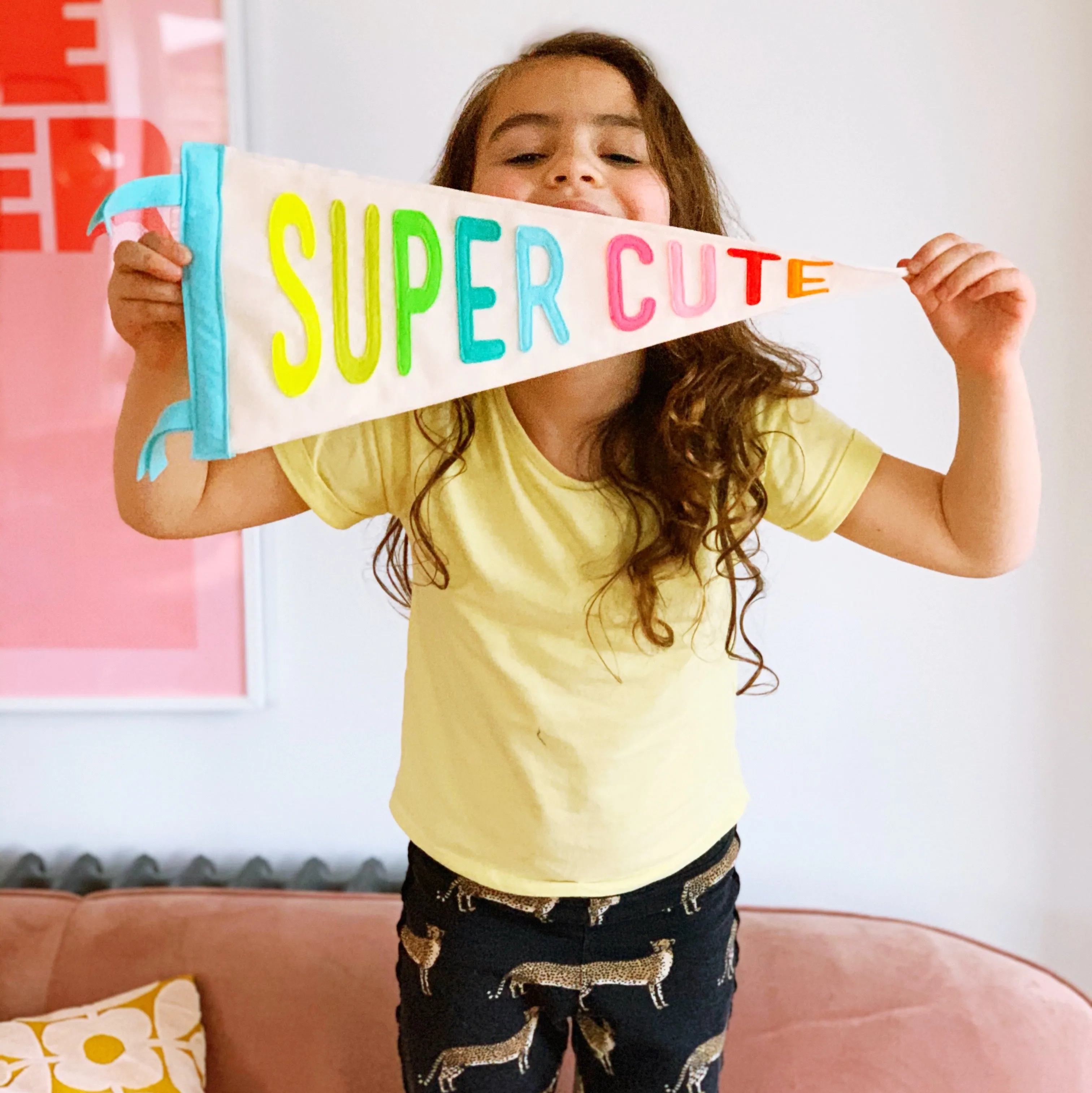 Super Cute Pennant Flag