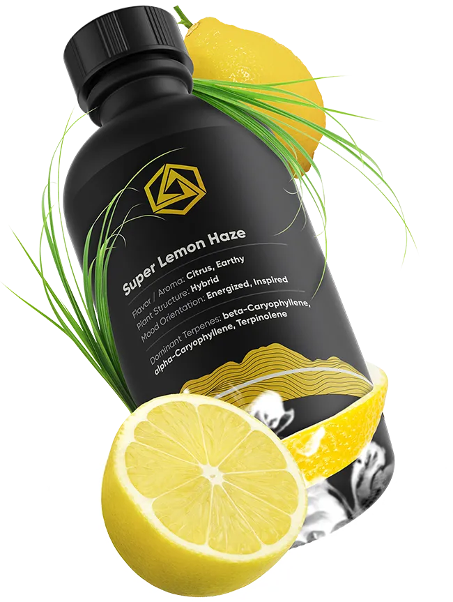 Super Lemon Haze