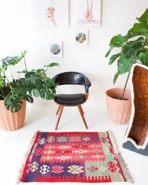 Vintage Mini Turkish Kilim Rug 2'9"x4'