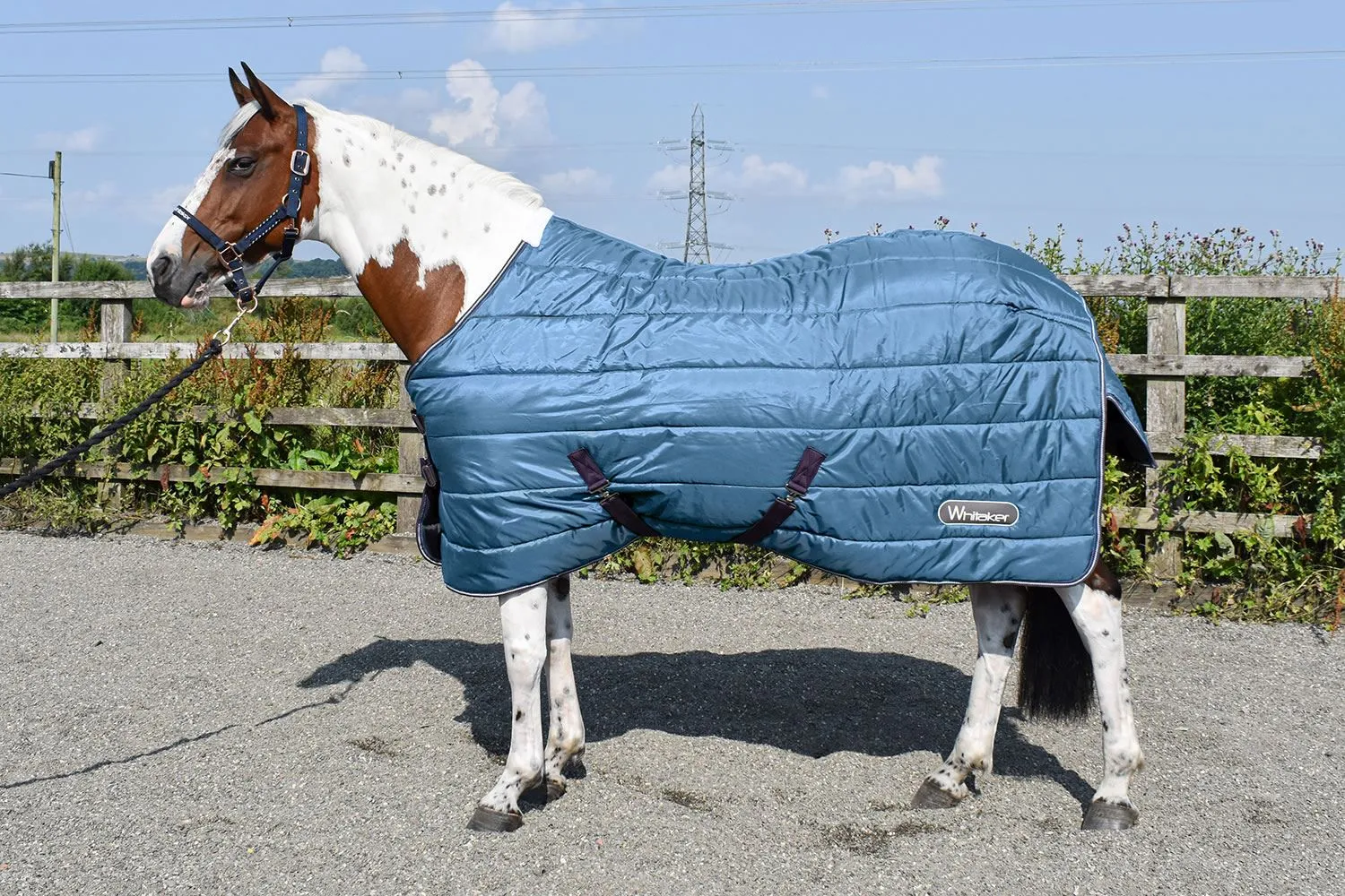 Whitaker Lupin Stable Rug 200Gm