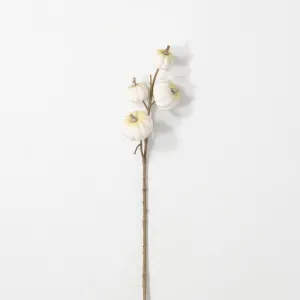 WHITE MINI PUMPKIN STEM