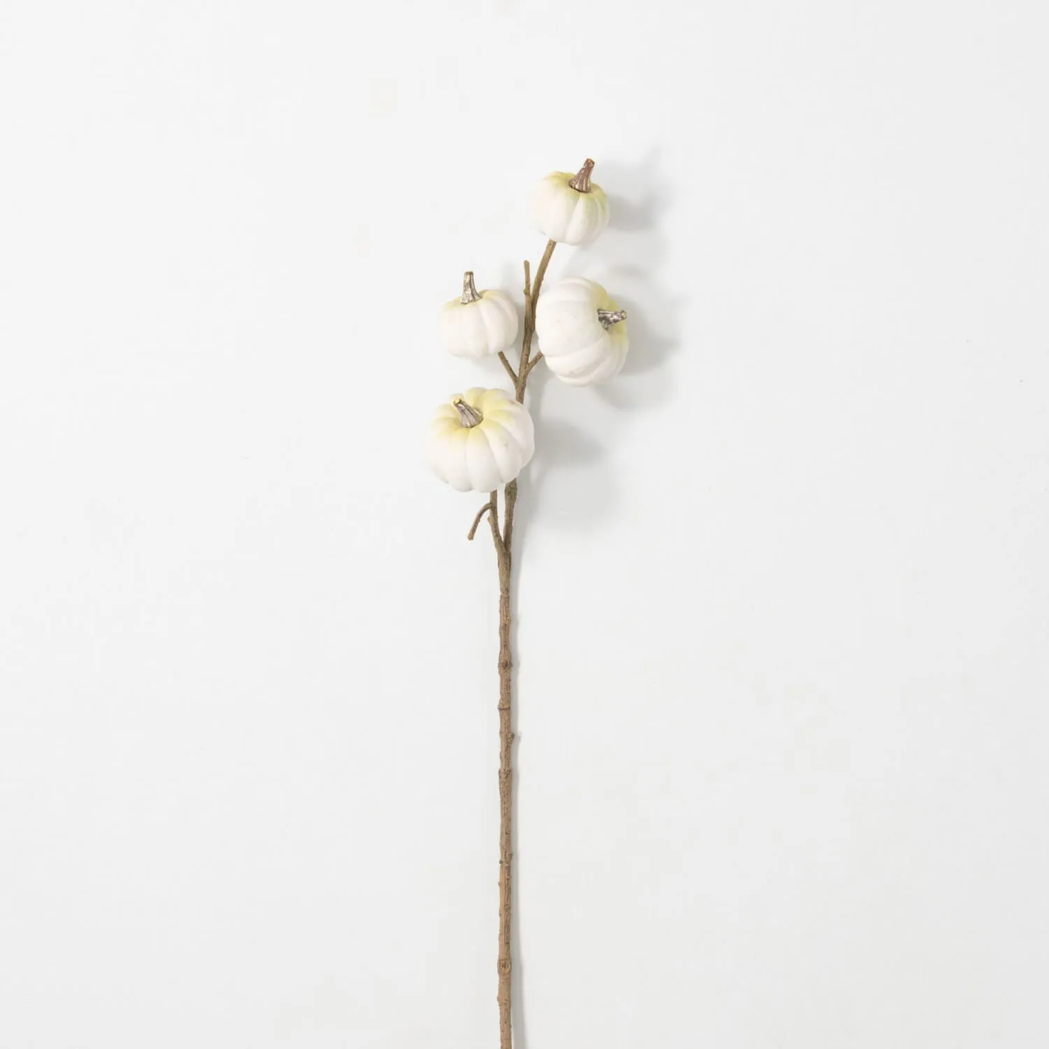 WHITE MINI PUMPKIN STEM